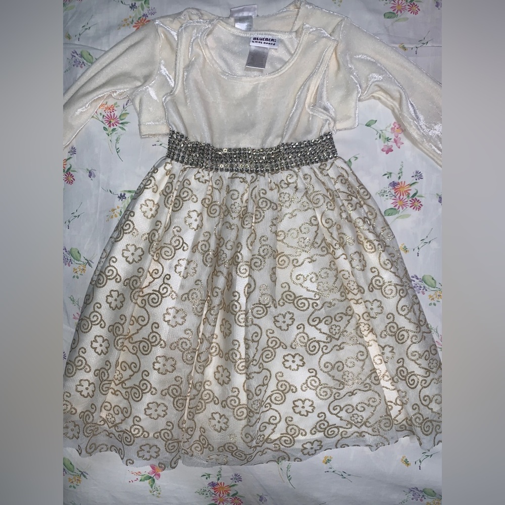 Blueberi Boulevard Girls' Dresses
Size 4